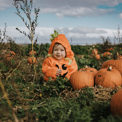 Pumpkin Festival at Tapnell Farm